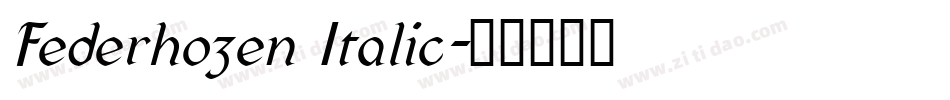 Federhozen Italic字体转换